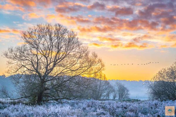 Early Morning Flight