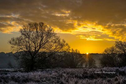 Half a Yellow Sun, Avon Valley