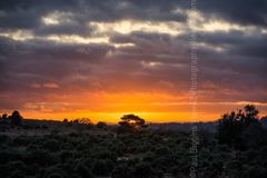 New Forest Sunset at Deadman Bottom. 20" x 16" incl. mount. Fordingbridge New Forest print deadman bottom valley sunset