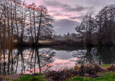 The Avon at Fordingbridge Fordingbridge purple river reflection trees print