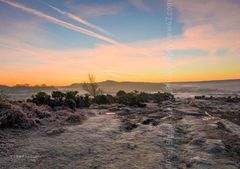 Pink Winter Morning