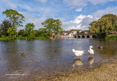 Fordingbridge in September