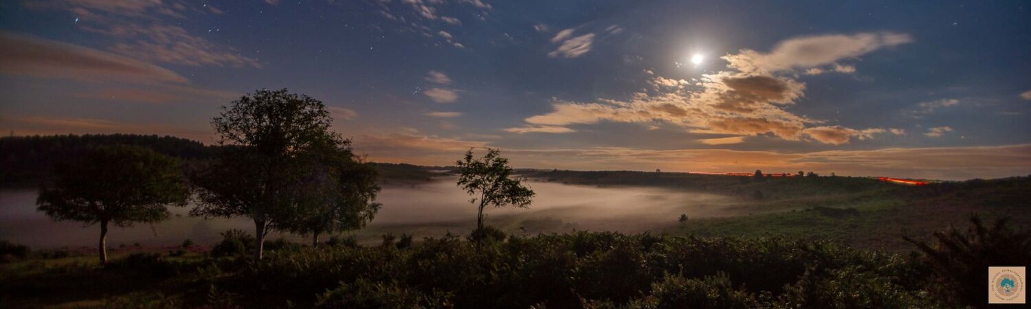 Moonlight Mist (22" x 9")