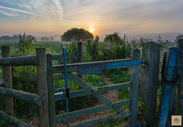 Gateway to The Morning