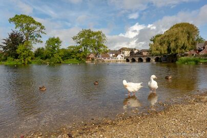 Fordingbridge in September