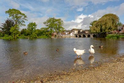 Fordingbridge in September