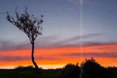 Red Sky at Deadman Hill. 24" x 18" incl. mount, fine art paper. Red Sky Deadman Hill New Forest