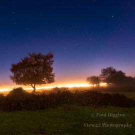 New Forest by Night, 30cm x 30cm with 40cm x 40cm mount