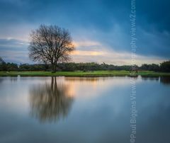 Janesmoor Pond winter 2017 2018 Fordingbridge New Forest