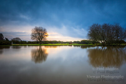 Janesmoor Pond Reflection