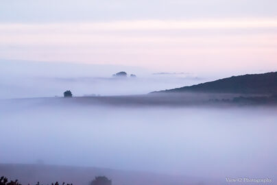 New Forest Mist Morning (with headlights), A3+ with 24" x 18" incl. mount, fine art paper. Limited Edition. £40