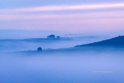 Mist over Roger Penny Way, New Forest
