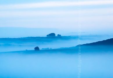 Misty Morning on The New Forest. 16" x 12" incl. mount. £20 misty new forest blue mist print