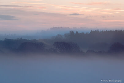 Misty Morning, Ashley Walk