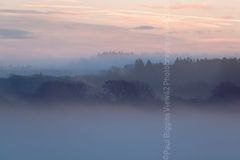 Misty Morning over Ashley Walk. 24" x 18" incl. mount, fine art paper. New Forest Misty Morning