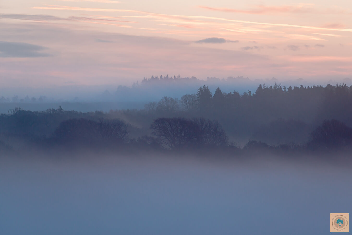 Misty Morning, New Forest