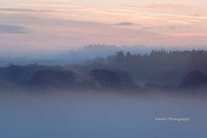 Misty Morning, Ashley Walk, New Forest