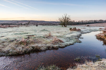 Frost at Ditchend Brook