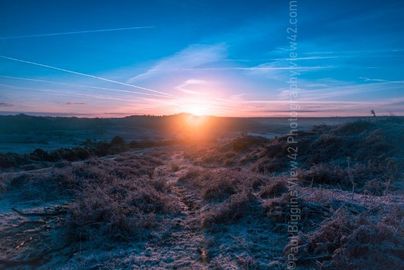 Amazing Sunrise Over Pitts Wood winter 2017 2018 Fordingbridge New Forest