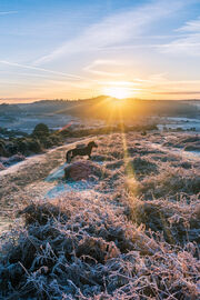 Winter Morning with Pony (portrait)