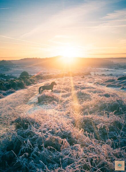 Sunrise Over Pitts Wood