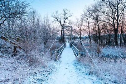 My Favourite Bridge winter 2017 2018 Fordingbridge New Forest