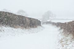 Snow at Burgate, March 18. 24" x 18" incl. mount, fine art paper. Fordingbridge New Forest fine art print Snow Burgate