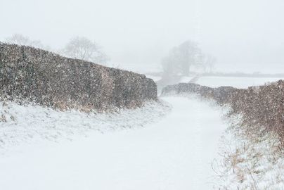 Snow at Burgate, March 18. 24" x 18" incl. mount, fine art paper. Winter snow countryside lane England print