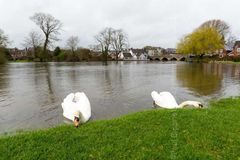 Fordingbridge Residents winter spring 2018 Fordingbridge New Forest