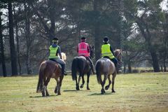 Riding School winter spring 2018 Fordingbridge New Forest