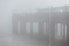 Misty at Boscombe winter spring 2018 Fordingbridge New Forest