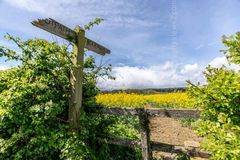 This Way winter spring 2018 Fordingbridge New Forest