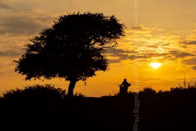 Deadman Hill summer 2018 Fordingbridge New Forest