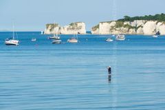 Old Harry Rocks, Purbeck summer 2018 Fordingbridge New Forest