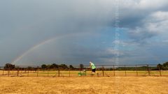 Rain's Coming summer 2018 Fordingbridge New Forest
