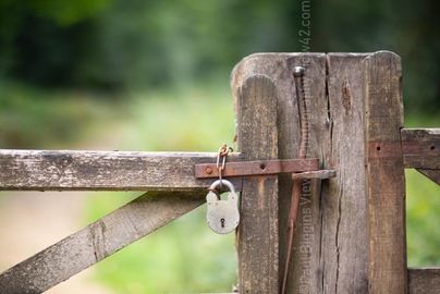 New Forest Gate New Forest, Gate, lock, padlock