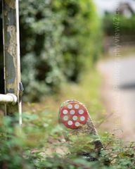 Narrow Bridge narrow bridge, road sign, red with white dots