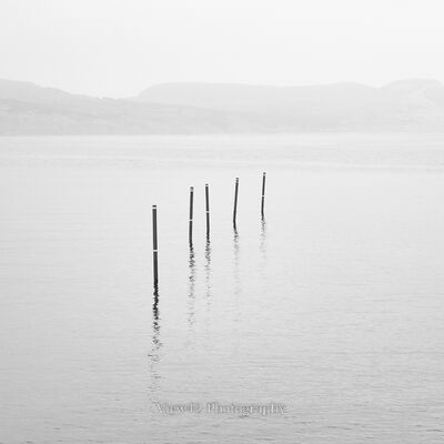 September Calm, Lyme Regis