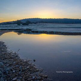 Winter at Ogdens, New Forest
