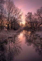 Pink Dawn
