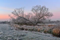 Its Cold