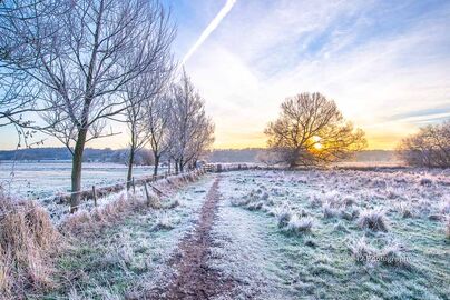 Winter Walk, Avon Valley at Burgate