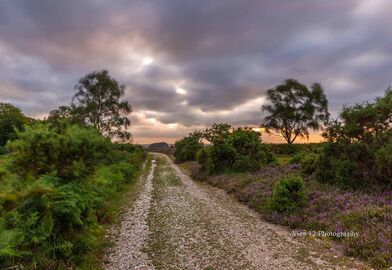 Summer Storm, Telegraph Hill, New Forest