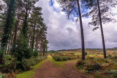 Pitts Wood Corner
