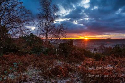 Hale Purlieu Sunrise