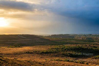 Godshill Landscape