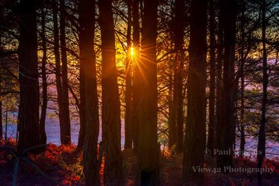 Turf Hill Sunset (landscape)