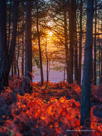 Turf Hill Sunset
