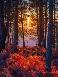 Turf Hill Sunset (portrait)