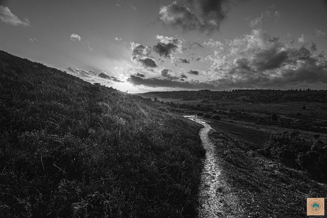 Gravel Pitt Hill